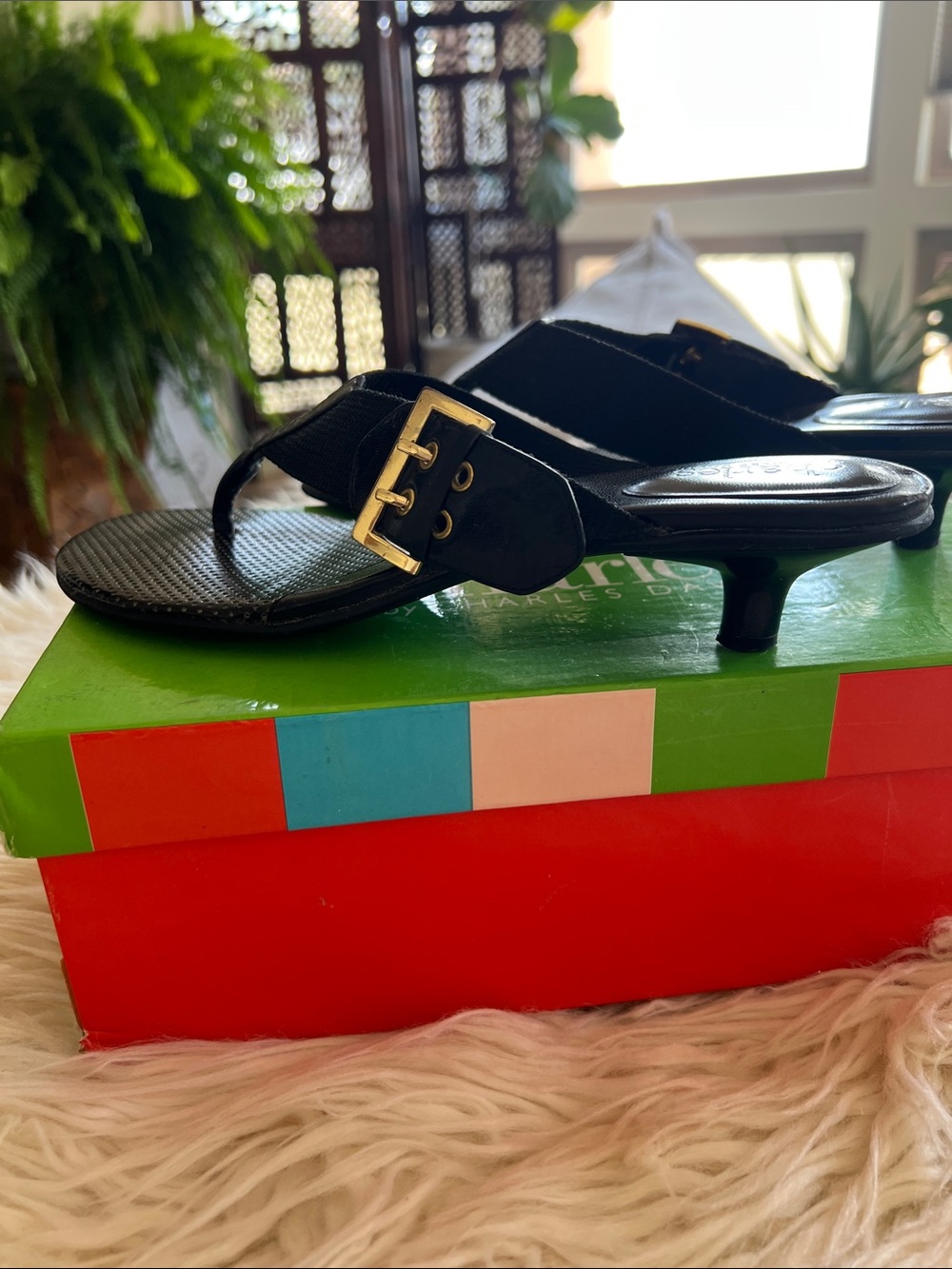 Charles By Charles David Black Kitten Heel Thong Mules with Leather/Gold Buckle